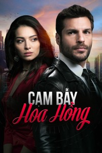 Cạm Bẫy Hoa Hồng New Life