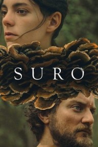Cây Sồi Bần Suro