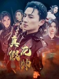 Chân Giả Long Soái 真假龙帅