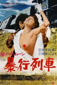 Chuyến Tàu Hãm Hiếp Secret Honeymoon: Rape Train