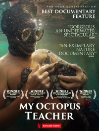 Cô giáo bạch tuộc My Octopus Teacher