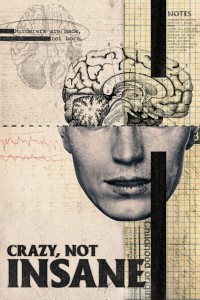 Điên, Không Mất Trí Crazy, Not Insane