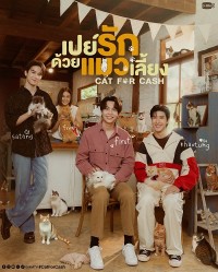 Đổi Tình Lấy Mèo Cat For Cash