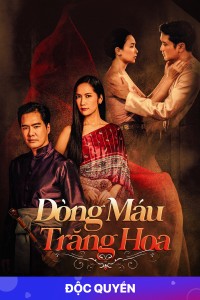 Dòng Máu Trăng Hoa Lady Kaki