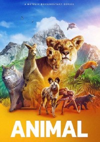 Động vật (Phần 2) Animal (Season 2)