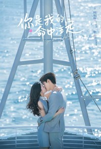 Em Là Định Mệnh Đời Anh You Are My Destiny