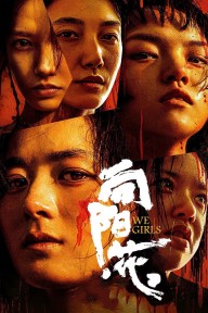 Hoa Hướng Dương We Girls