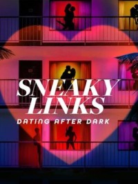 Mối Quan Hệ Bí Mật: Hẹn Hò Đêm Khuya Sneaky Links: Dating After Dark