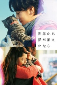 Nếu Loài Mèo Biến Mất Khỏi Thế Giới If Cats Disappeared From The World