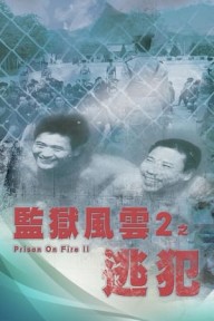 Ngục Tù Phong Vân 2 Prison On Fire 2