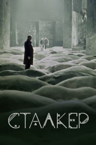Người Dẫn Đường (1979) Stalker