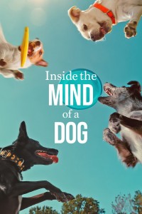 Những chú chó nghĩ gì Inside the Mind of a Dog