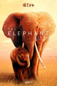 Nữ Hoàng Voi The Elephant Queen