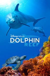 Rạn San Hô Cá Heo Dolphin Reef