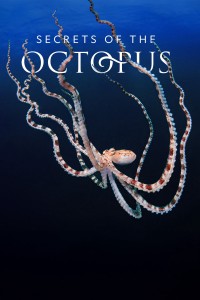 Secrets of the Octopus Secrets of the Octopus