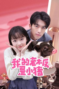 Sếp Của Tôi Là Chú Lợn Nhỏ My Piggy Boss