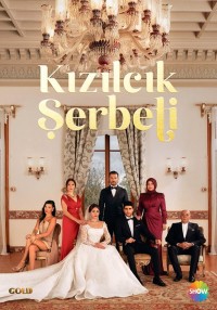 Sorbet Nam Việt Quất Kızılcık Şerbeti