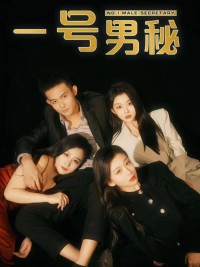 Thư Ký Nam Số Một 一号男秘