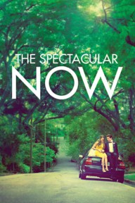 Thực Tại Hoàn Mỹ The Spectacular Now