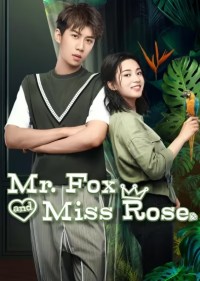 Tình Yêu Chàng Cáo và Nàng Hoa Hồng Mr. Fox and Miss Rose